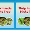 Thrips pheromone sticky insect board blue board insect trap board fruit tree vegetable greenhouse gardening family universal