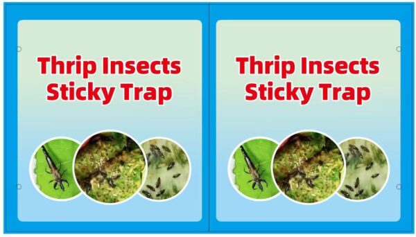 Thrips pheromone sticky insect board blue board insect trap board fruit tree vegetable greenhouse gardening family universal