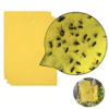 Yellow Traps Agricultural Greenhouses Pest Insects Killer Control Outdoor Yellow Sticky Trap Glue Board Insect Catcher