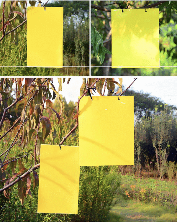 Yellow Traps Agricultural Greenhouses Pest Insects Killer Control Outdoor Yellow Sticky Trap Glue Board Insect Catcher