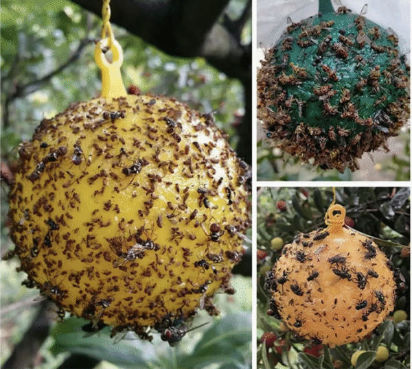 Hanging Fly Trap Ball Insect Fruit Fly Killer Bee Wasp Catcher Repeller Outdoor Pest Sticky Trap