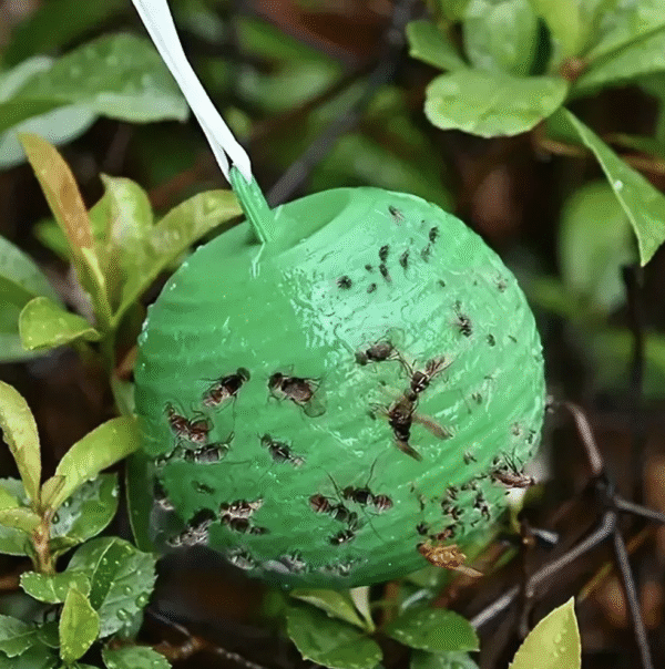 Hanging Fly Trap Ball Insect Fruit Fly Killer Bee Wasp Catcher Repeller Outdoor Pest Sticky Trap