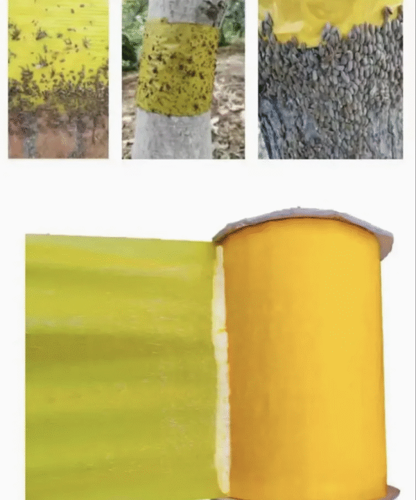 White Fly Trap Roll 30cm*100m 25cm*100m High Quality Bug Trap Killer Strong Glue Roll Tape Strip for Thrips Control