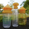 Fruit fly attractant | fruit fly attractant needle bee | melon fruit fly pheromone |fruit fly trap attractant
