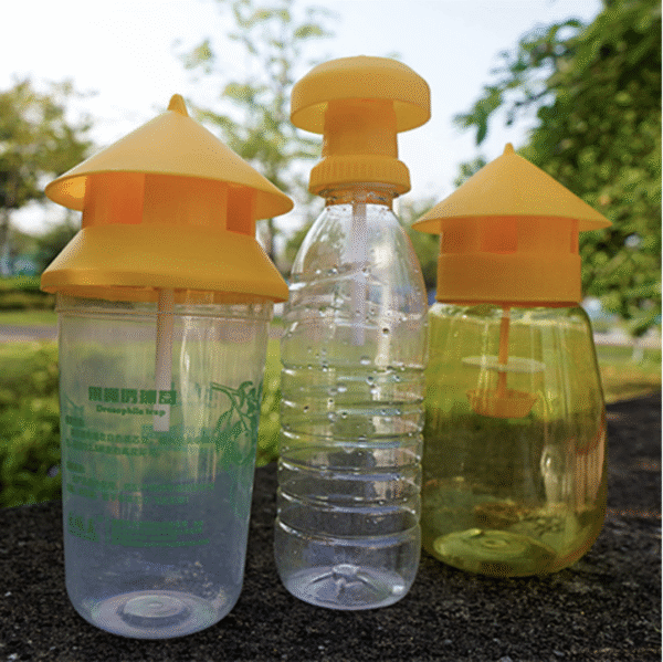 Fruit fly attractant | fruit fly attractant needle bee | melon fruit fly pheromone |fruit fly trap attractant