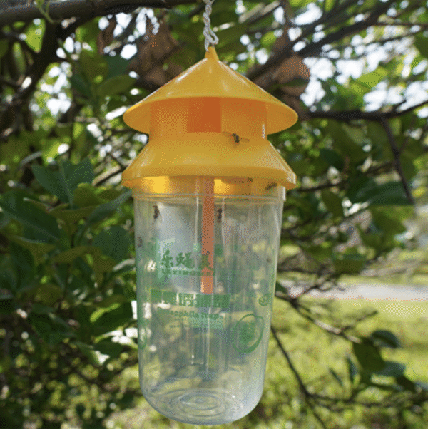 Fruit fly attractant | fruit fly attractant needle bee | melon fruit fly pheromone |fruit fly trap attractant