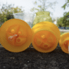 Fruit fly attractant | fruit fly attractant needle bee | melon fruit fly pheromone |fruit fly trap attractant