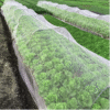 Cross-border, cuttable garden insect netting. 60-mesh polyvinyl sliced ​​garden greenhouse insect netting.