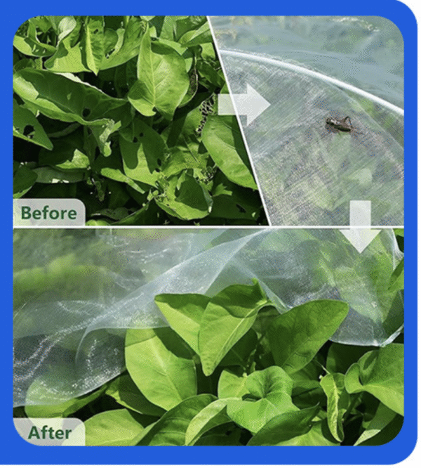 Cross-border, cuttable garden insect netting. 60-mesh polyvinyl sliced ​​garden greenhouse insect netting.