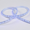 Energy-Saving Colorful Flexible RGB 5050 LED Strip Light IP65 Waterproof