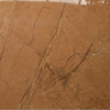 Marble Gold Slab Orange Bathroom Kitchen Tiles Design Philippines