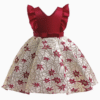 V Neck Fly Sleeve Dress Kids Evening Party Dress Girls