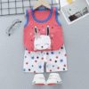 2025 Kids Summer Clothes Set Baby Boy and Girl Casual Vest + Shorts 2 Sets