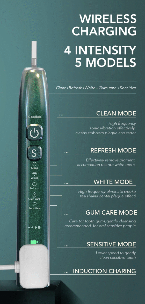 Electric Toothbrush Rechargeable Waterproof Ultrasonic Adult Whitening Oral Hygiene Tooth Brush