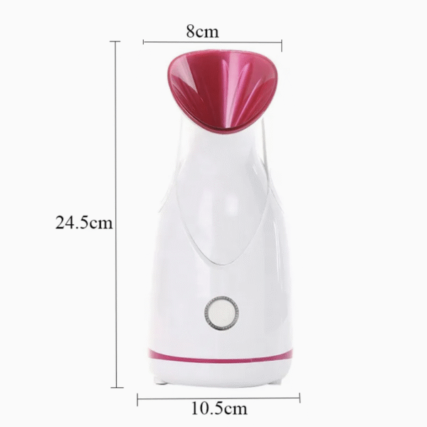 Nano Ion Face Evaporator Home Beauty Tools Face Steamer