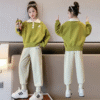 Knitted collar polo suit - top 32, pants 28