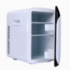 Thermoelectric Cooler and Warmer 15L Mini Car Fridge